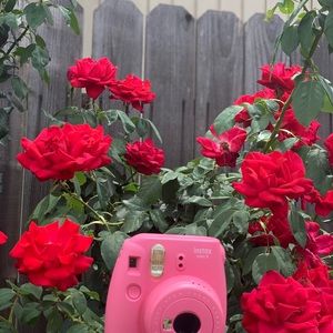 instax mini 9